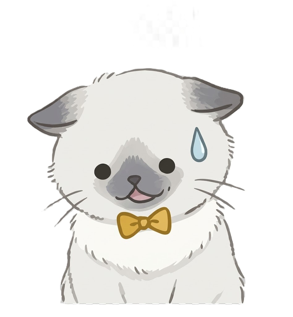質問者さん２