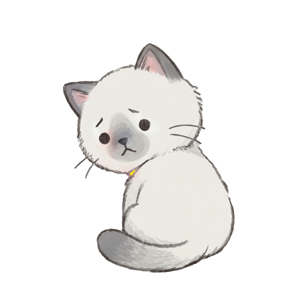 質問者さん５